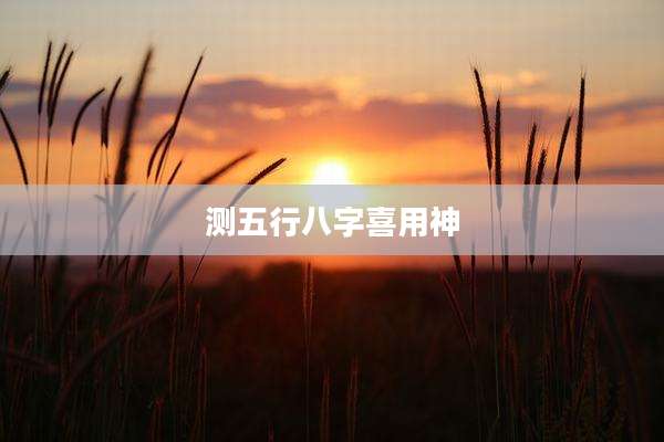 测五行八字喜用神