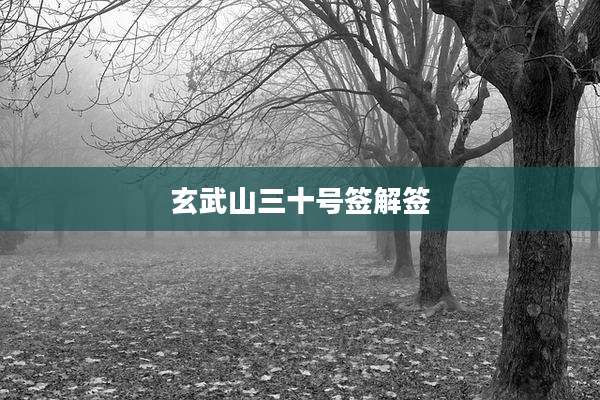 玄武山三十号签解签