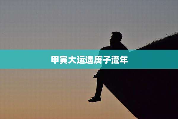 甲寅大运遇庚子流年