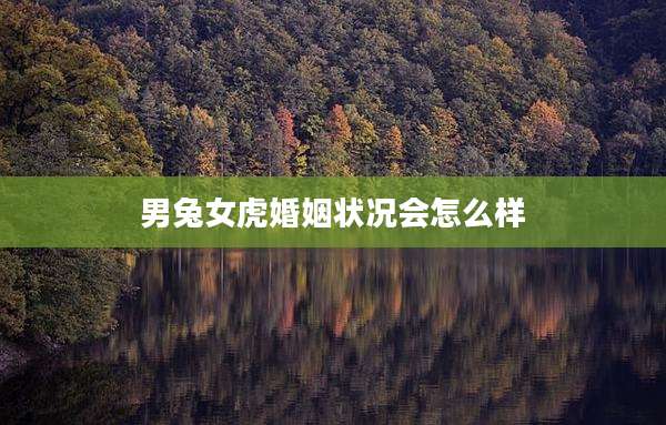 男兔女虎婚姻状况会怎么样