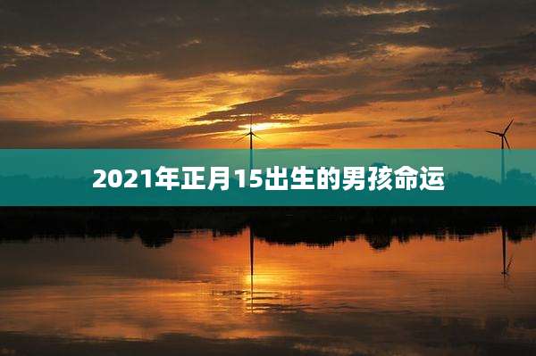 2021年正月15出生的男孩命运