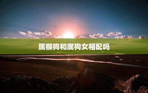 属猴狗和属狗女相配吗