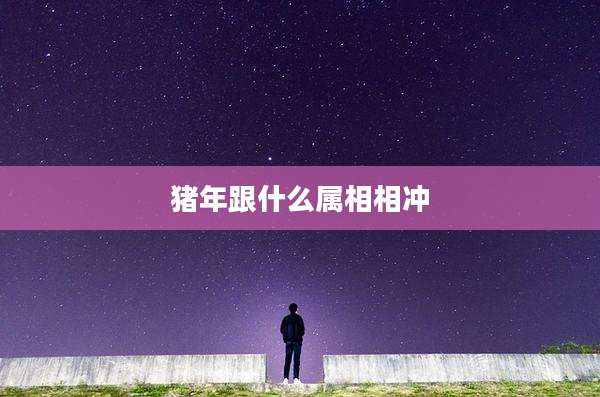 猪年跟什么属相相冲