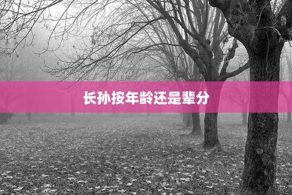 长孙按年龄还是辈分