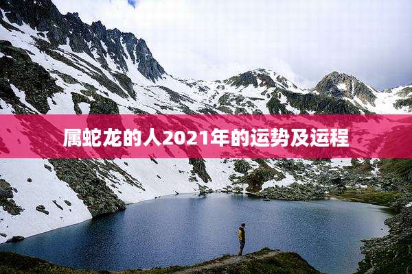 属蛇龙的人2021年的运势及运程