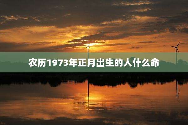 农历1973年正月出生的人什么命