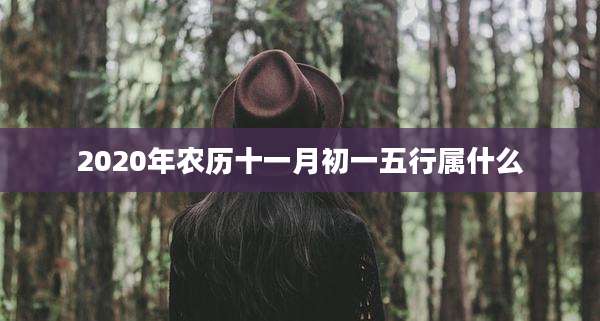 2020年农历十一月初一五行属什么