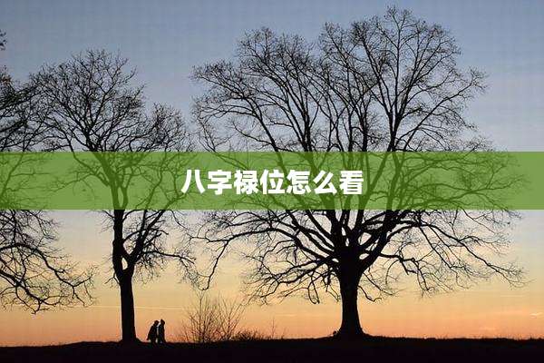 八字禄位怎么看