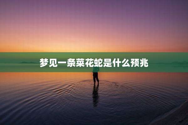 梦见一条菜花蛇是什么预兆