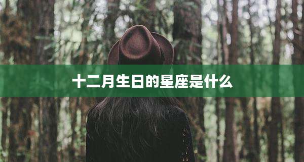 十二月生日的星座是什么