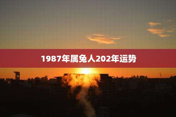 1987年属兔人202年运势