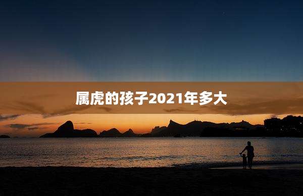 属虎的孩子2021年多大
