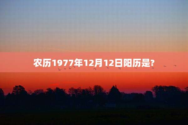 农历1977年12月12日阳历是?