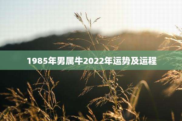 1985年男属牛2022年运势及运程
