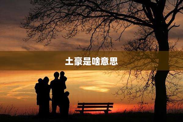 土豪是啥意思