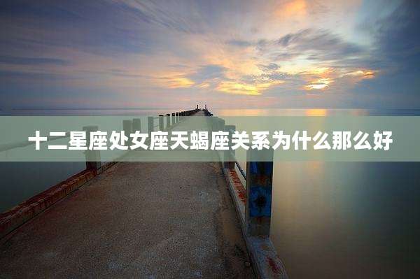 十二星座处女座天蝎座关系为什么那么好