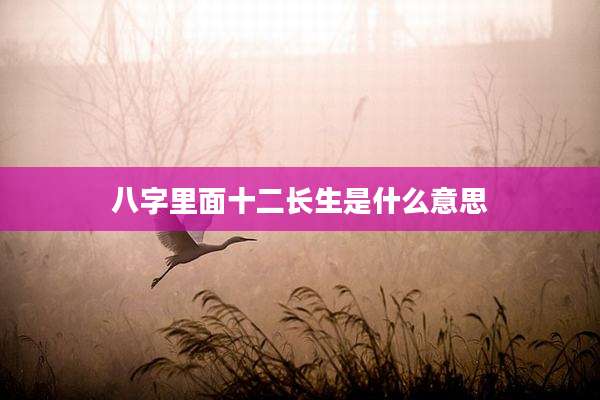 八字里面十二长生是什么意思