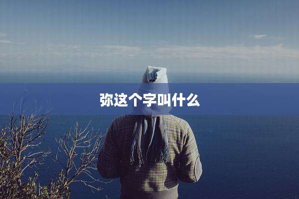 弥这个字叫什么