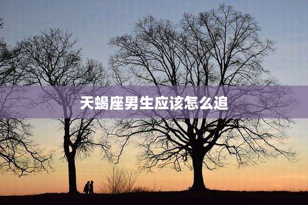 天蝎座男生应该怎么追