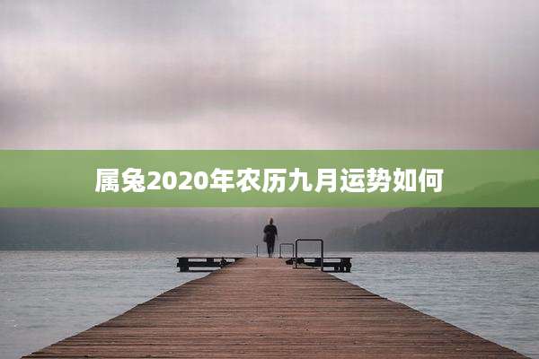 属兔2020年农历九月运势如何