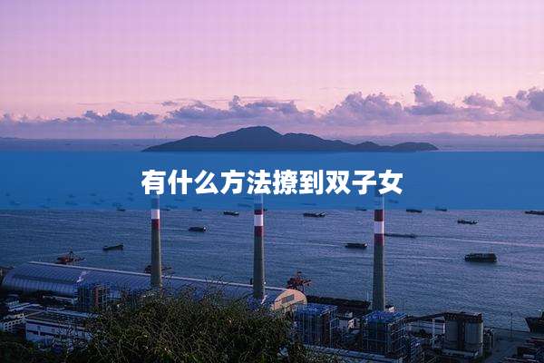 有什么方法撩到双子女