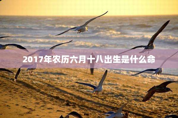 2017年农历六月十八出生是什么命