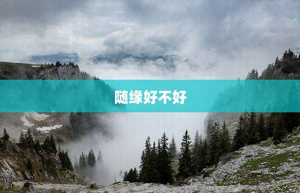 随缘好不好