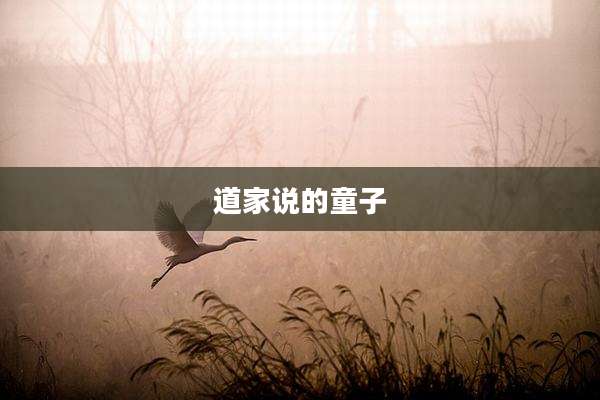 道家说的童子