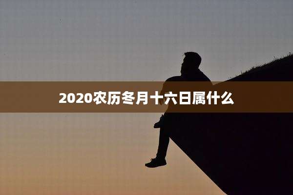 2020农历冬月十六日属什么