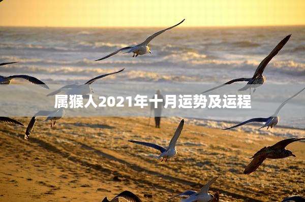 属猴人2021年十月运势及运程