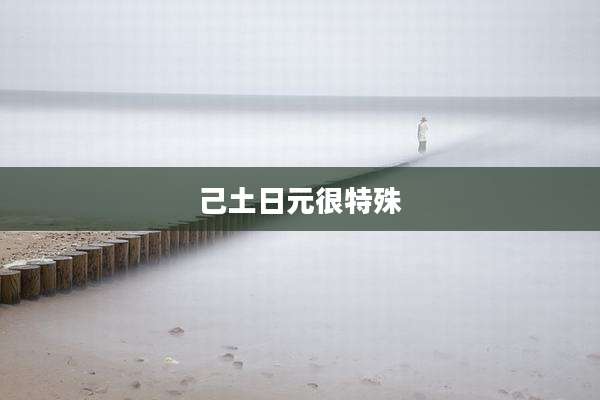 己土日元很特殊