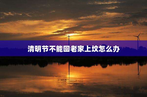 清明节不能回老家上坟怎么办