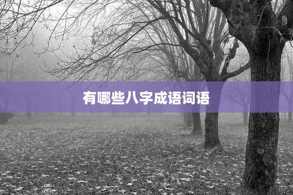 有哪些八字成语词语