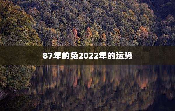 87年的兔2022年的运势
