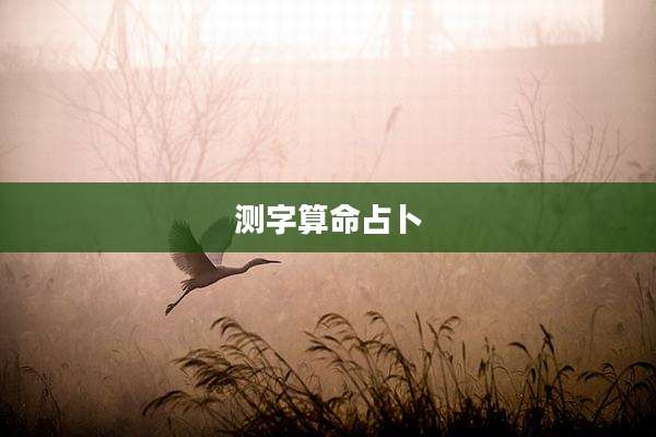 测字算命占卜