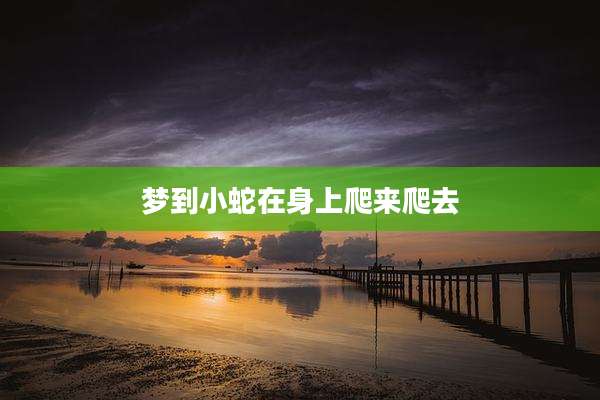 梦到小蛇在身上爬来爬去