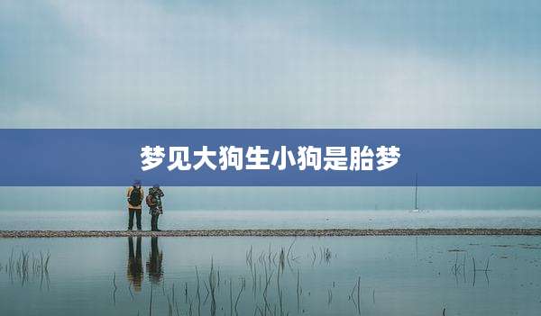 梦见大狗生小狗是胎梦