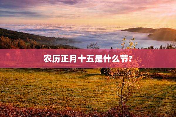 农历正月十五是什么节?
