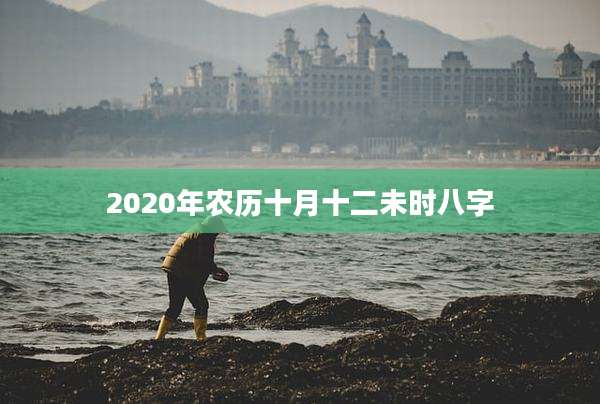 2020年农历十月十二未时八字