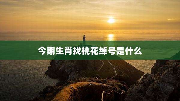 今期生肖找桃花绰号是什么