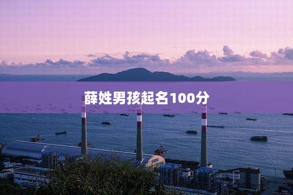 薛姓男孩起名100分