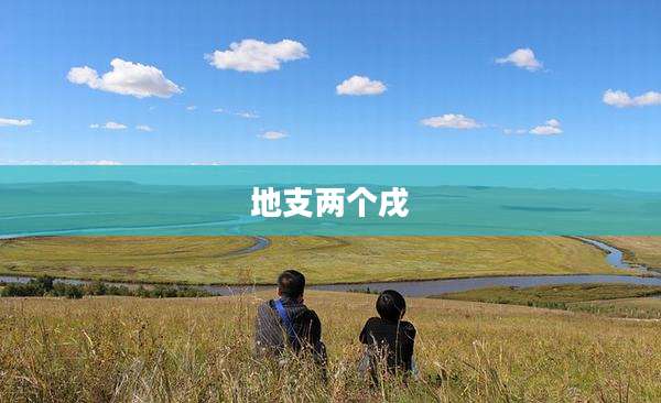地支两个戌