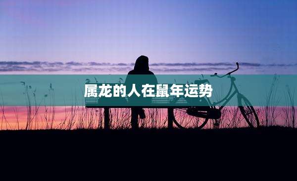 属龙的人在鼠年运势