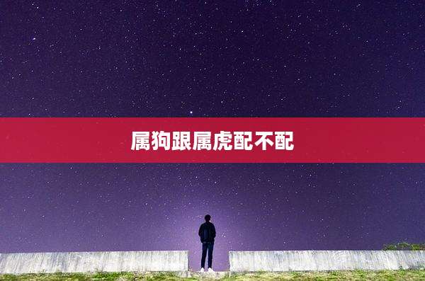 属狗跟属虎配不配