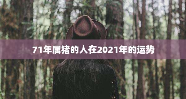 71年属猪的人在2021年的运势