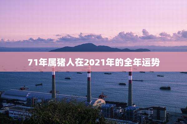 71年属猪人在2021年的全年运势