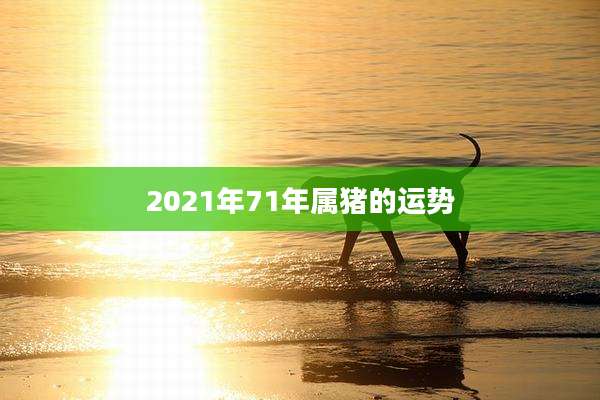 2021年71年属猪的运势