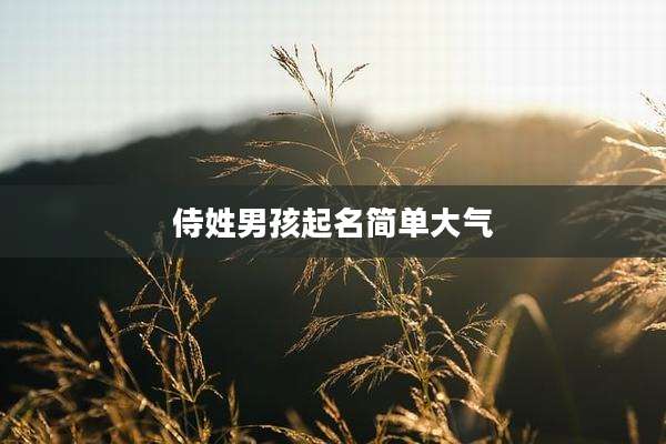 侍姓男孩起名简单大气