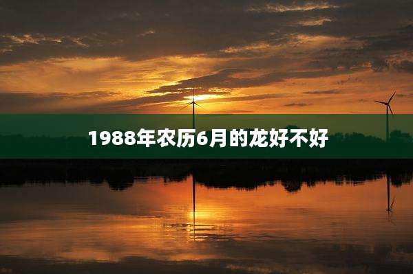 1988年农历6月的龙好不好