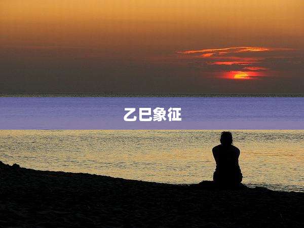 乙巳象征